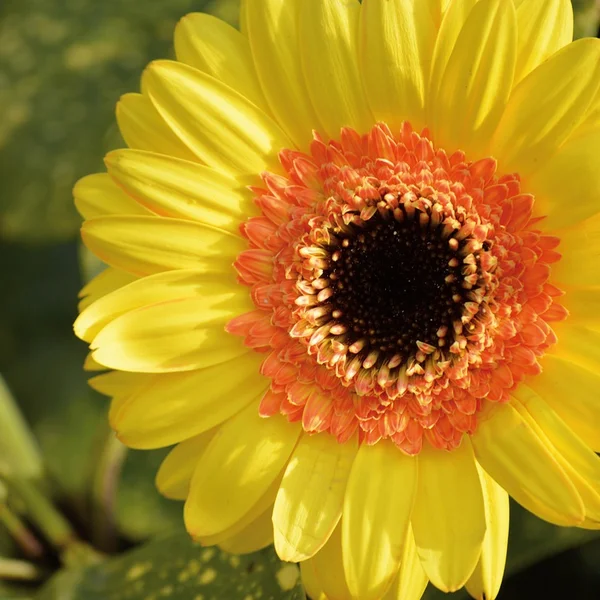 德州扑克下载棋牌游戏